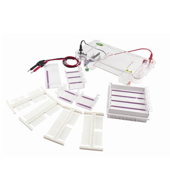 Электрофорез