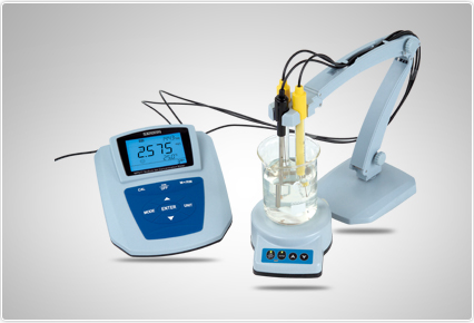 Ион хэмжигч